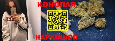 spice Заводоуковск