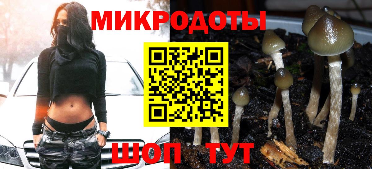 Лыткарино  Псилоцибиновые грибы Psilocybe  Галлюциногенные грибы мухоморы  Вход с VPN 